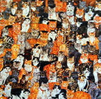 cats.jpg (48981 bytes)